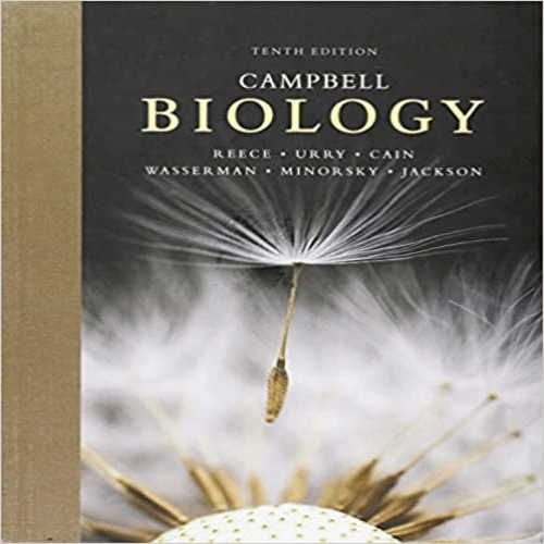 Solution Manual for Campbell Biology 10th Edition by Reece Urry Cain Wasserman Minorsky and Jackson ISBN 0321775651 9780321775658