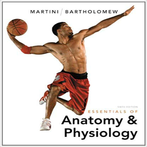 Solution Manual for Essentials of Anatomy and Physiology 6th Edition by Martini Bartholomew ISBN 0321787455 9780321787453