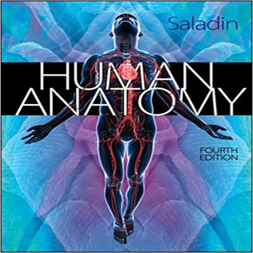 Solution Manual for Human Anatomy 4th Edition Saladin 0073378291 9780073378299