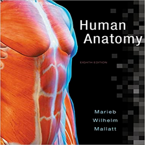 Solution Manual for Human Anatomy 8th Edition Marieb Wilhelm Mallatt 0134243811 9780134243818