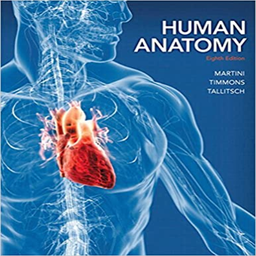 Solution Manual for Human Anatomy 8th Edition Martini Tallitsch 0321883322 9780321883322