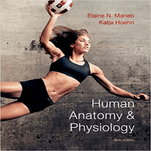 Solution Manual for Human Anatomy and Physiology 9th Edition Marieb Hoehn 0321743261 9780321743268