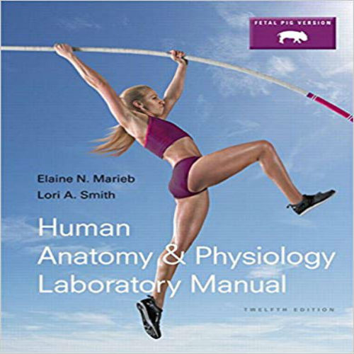 Solution Manual for Human Anatomy and Physiology Laboratory Manual Fetal Pig Version 12th Edition Marieb Smith 0133925595 9780133925593