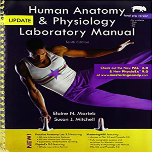 Solution Manual for Human Anatomy and Physiology Laboratory Manual Fetal Pig Version Update 10th Edition Marieb Mitchell 0321918894 9780321918895