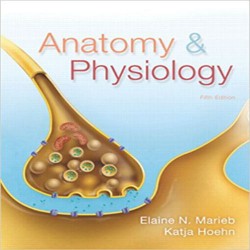 Test Bank for Anatomy and Physiology 5th Edition Marieb Hoehn 0321861582 9780321861580