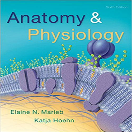 Test Bank for Anatomy and Physiology 6th Edition Marieb Hoehn 0134156412 9780134156415