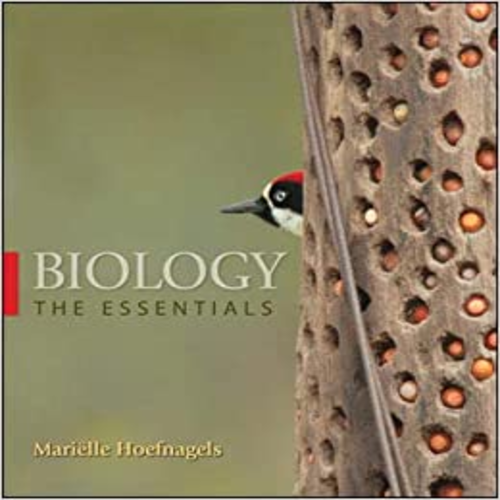 Test Bank for Biology The Essentials 1st Edition by Hoefnagels ISBN 9780078096921 