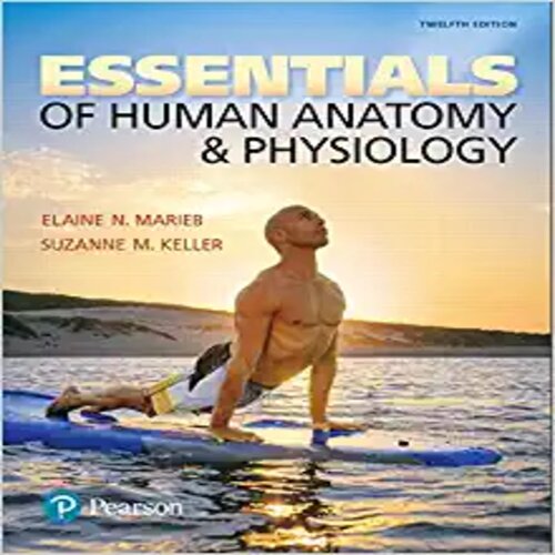 Test Bank for Essentials of Human Anatomy and Physiology 12th Edition by Marieb and Keller ISBN 0134395328 9780134395326
