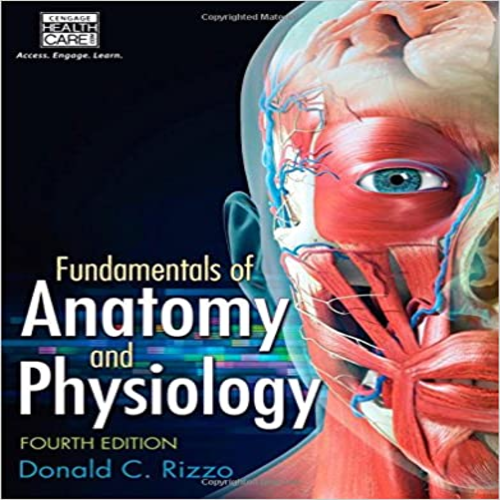 Test Bank for Fundamentals of Anatomy and Physiology 4th Edition by Rizzo ISBN 1285174305 9781285174303