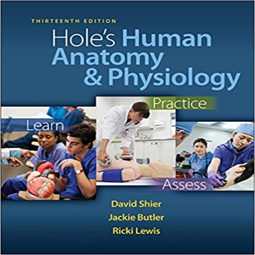 Test Bank for Holes Human Anatomy and Physiology 13th Edition Shier 0073378275 9780073378275