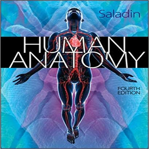 Test Bank for Human Anatomy 4th Edition Saladin 0073378291 9780073378299