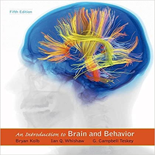 Test Bank for Introduction to Brain and Behavior 5th Edition Kolb Whishaw Teskey 1464106010 9781464106019
