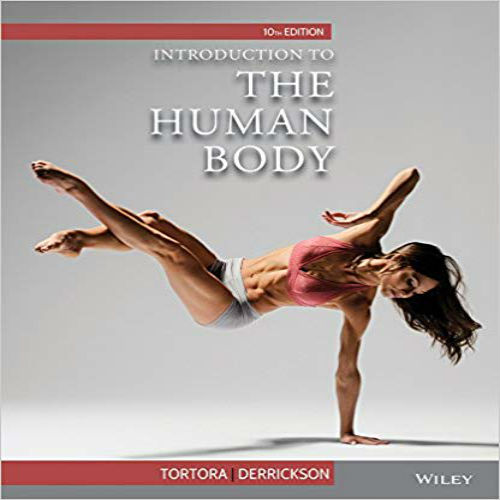 Test Bank for Introduction to the Human Body 10th Edition Tortora Derrickson 1118583183 9781118583180