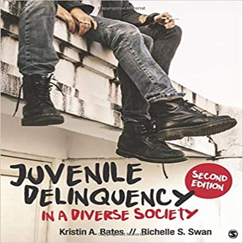 Test Bank for Juvenile Delinquency in a Diverse Society 2nd Edition Bates 1506347495 9781506347493