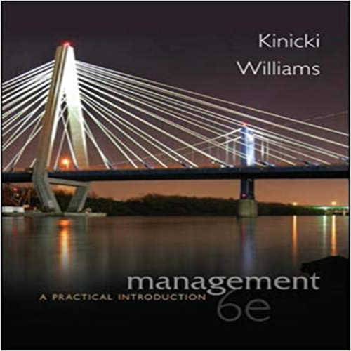 Test Bank for Management A Practical Introduction 6th Edition Kinicki Williams 0078029546 9780078029547